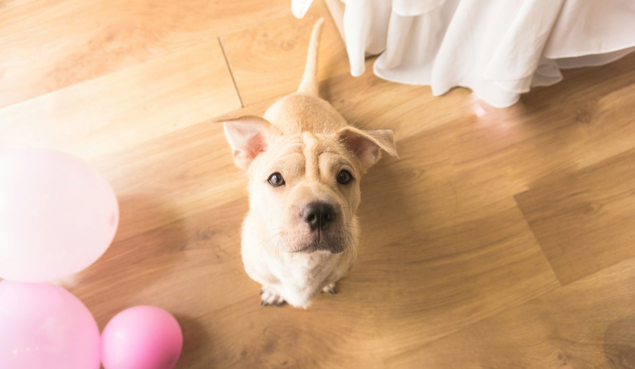 luxury vinyl flooring